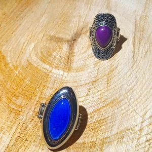 Paparazzi rings $1.00 each ignore the price